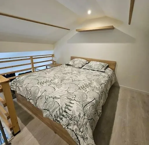 Le Duplex Vercingetorix Proche Paris Et アパート *